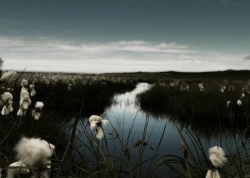 Celebrity Style Outfits: A Comprehensive Guide to Fashion Inspiration