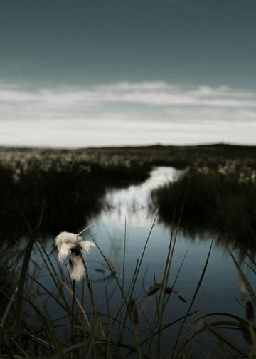 Celebrity Style Outfits: A Comprehensive Guide to Fashion Inspiration