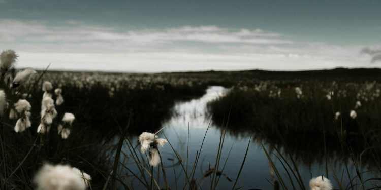 Celebrity Style Outfits: A Comprehensive Guide to Fashion Inspiration