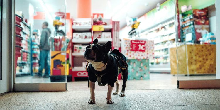 Benefits and Tips for Savvy Shoppers