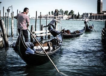 Everything You Need to Know Before You Buy