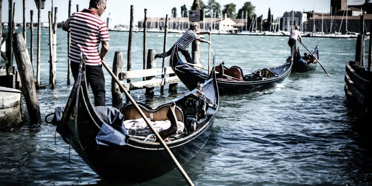 Everything You Need to Know Before You Buy